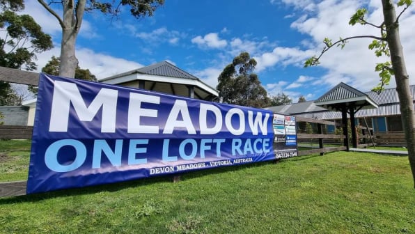 Meadow One Loft Race